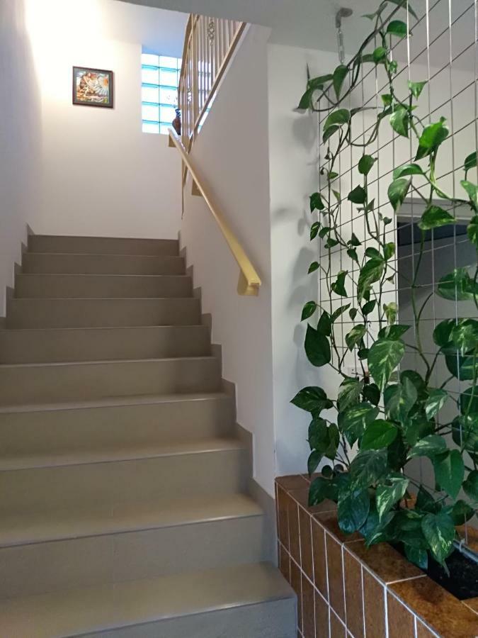 Apartmani Jovanovic Petrovac na moru Exterior foto